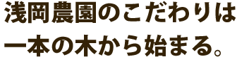浅岡農園のこだわり野菜